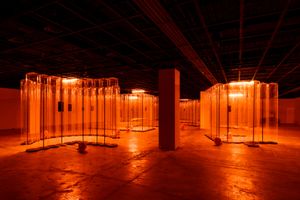 On the Ground During Art Season in Korea a Country in Flux