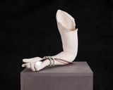 Smart Arm i5.0 1-6 by Rosmarie Lukasser contemporary artwork sculpture