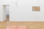 Joelle Tuerlinckx contemporary artist