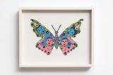 Mariposa 3 by Gerardo Rosales contemporary artwork painting works on paper