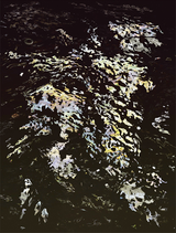 Bangkok II by Andreas Gursky contemporary artwork photography