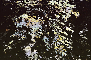 Andreas Gursky