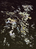 Bangkok II by Andreas Gursky contemporary artwork Photography