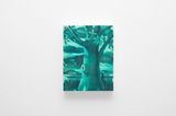 Lone Tree by Carlo DAnselmi contemporary artwork painting