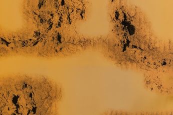 Zhang Ding contemporary artist