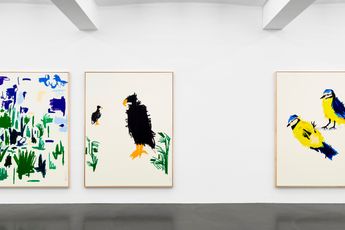 Contemporary art exhibition Andi Fischer Enorm viele Vogel fliegen at Sies  Hoke Dusseldorf Germany