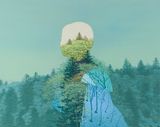 A time of light - Furano from winter to spring by Kazuyuki Futagawa contemporary artwork works on paper