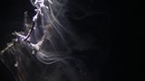 Flightdream by Joyce Campbell contemporary artwork moving image