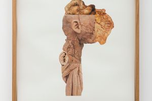 Rodolpho Parigi