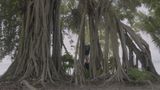 Breathe by Tong Wenmin contemporary artwork moving image