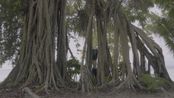 Breathe by Tong Wenmin contemporary artwork Moving Image