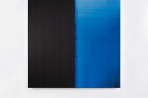 Callum Innes