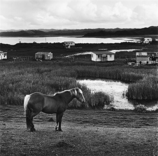 Te Maika 1975 by Marti Friedlander contemporary artwork Photography