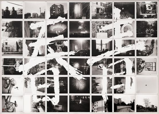Birdhead World 2019-2   2019-2 by Birdhead contemporary artwork Photography