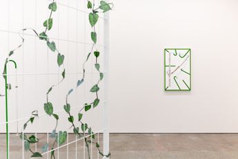 Contemporary art exhibition Zina Swanson Watering Shadows at Sumer Auckland New Zealand