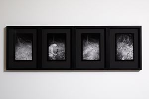 Anne Noble