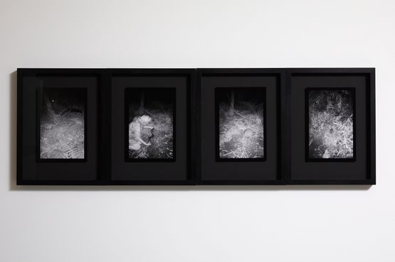 Frameshift 14 by Anne Noble contemporary artwork Print