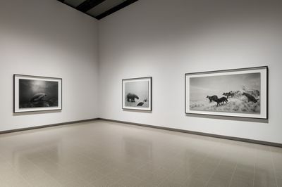 Hiroshi Sugimotos Trickery of Time at Hayward Gallery