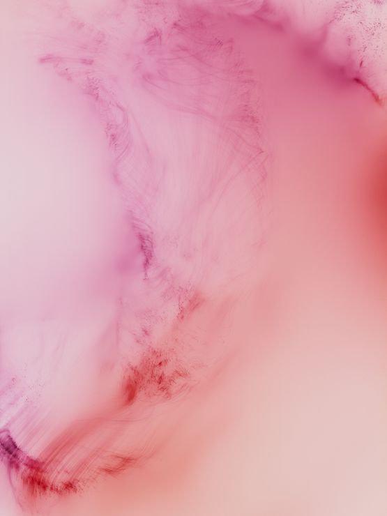 Freischwimmer 233, 2021 by Wolfgang Tillmans, Inkjet print