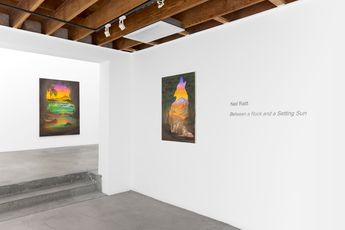 Contemporary art exhibition Neil Raitt Between a Rock and a Setting Sun at Anat Ebgi Culver City United States