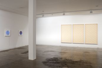 Contemporary art exhibition Peata Larkin Between Two Pou at Two Rooms Auckland New Zealand