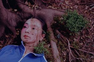 Chen Qiulin