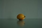 1000 Rejected Citrons by Itamar Gov contemporary artwork photography