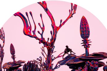 Vvzela Kook contemporary artist