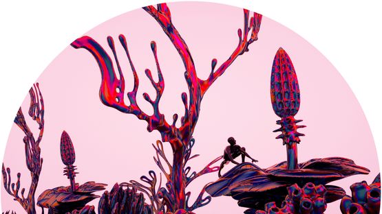 Columbus of Horticulture by Vvzela Kook contemporary artwork Moving Image