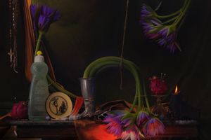 Fiona Pardington