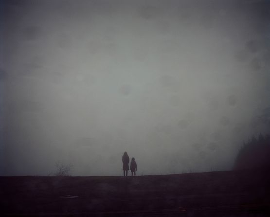 Untitled 10690-1 from the series Excerpts from Silver Meadows by Todd Hido contemporary artwork Photography