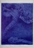 Berlin Tornados - I by Jan Fabre contemporary artwork Works on Paper