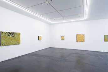 Contemporary art exhibition Minoru Onoda Minoru Onoda at Taka Ishii Gallery Complex665 Tokyo Japan