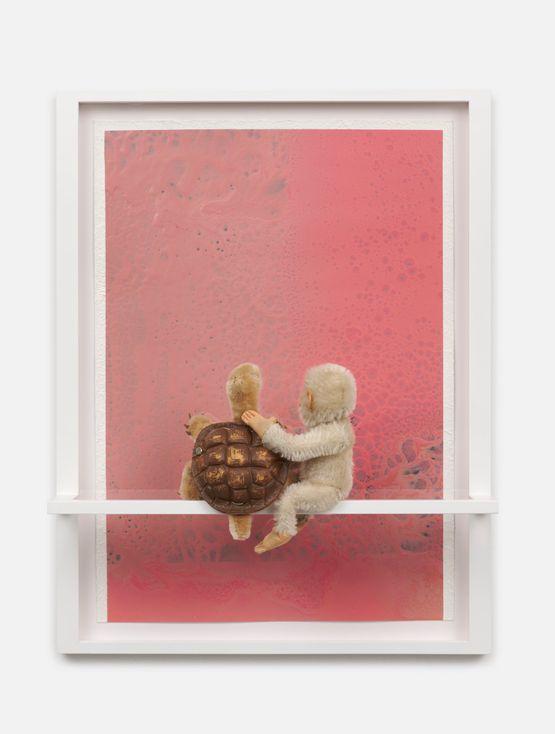 LOOK... What a beautiful PINK by Philip Emde contemporary artwork Works on Paper
