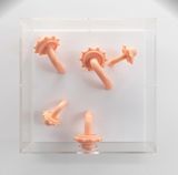 Just the Tip Cheeky Boi by Caitlin Devoy contemporary artwork sculpture
