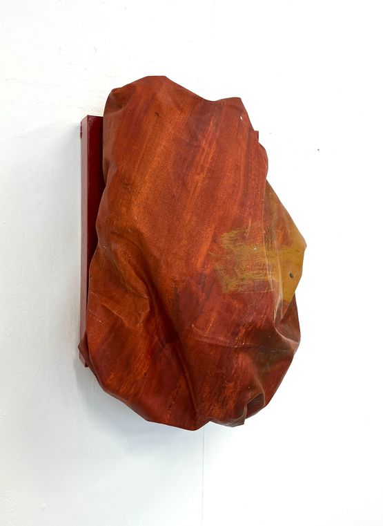Bark by Angela De La Cruz contemporary artwork Painting