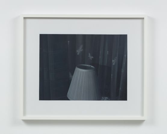 Lampshade Loch Ness by Andrew Grassie contemporary artwork Painting