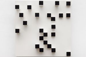 Lygia Pape