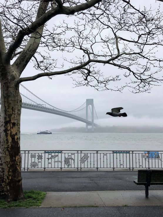 Verrazano Bridge by Roe Ethridge contemporary artwork Photography