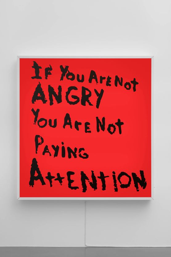 If You Are Not Angry You Are Not Paying Attention by Sam Durant contemporary artwork Mixed Media