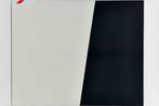 Joao Vasco Paiva contemporary artist