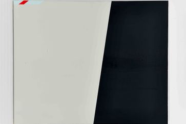 Joao Vasco Paiva contemporary artist