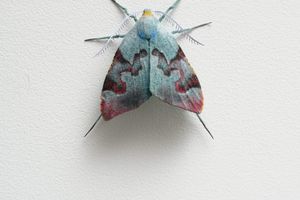 Elizabeth Thomson