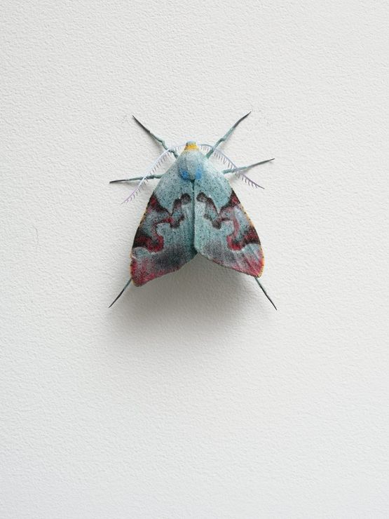 Purehua Koromiko Rd by Elizabeth Thomson contemporary artwork Sculpture