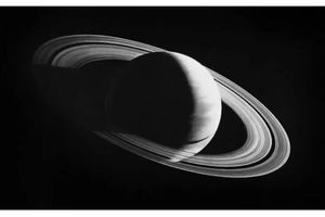 Robert Longo
