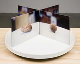 Film-Object Potato by Lucas Blalock contemporary artwork sculpture photography