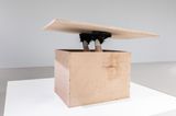 Do it  by Erwin Wurm contemporary artwork sculpture