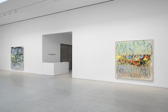 Contemporary art exhibition Rita Ackermann SPLITS at Hauser  Wirth New York 22nd Street United States
