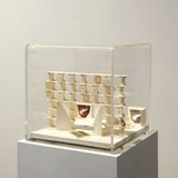 Bagno A by Gianfranco Baruchello contemporary artwork sculpture