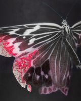 Cyborg Butterfly 1 by Yoshiaki Nakamura contemporary artwork painting